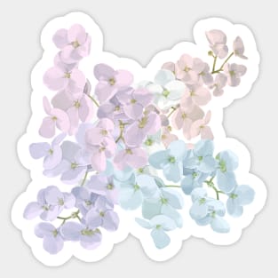 Spring in Korea,a feast of flowers,pink flower Sticker